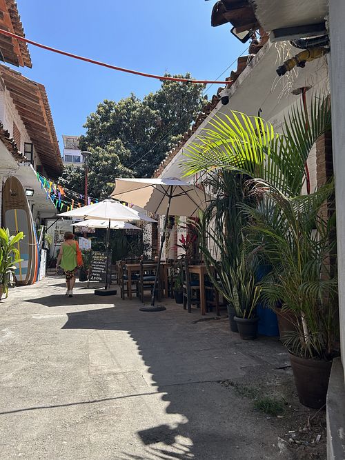 Lane to restaurant   at Elixir Spot in Puerto Vallarta