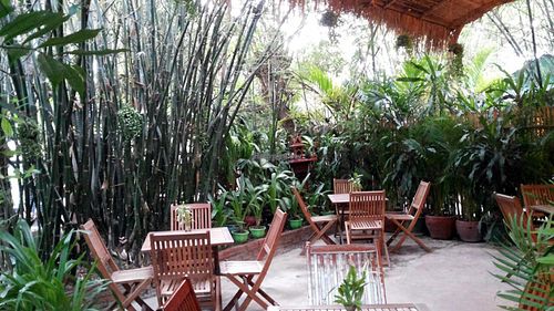 The Vegetarian Phnom Penh at The Vegetarian in Phnom Penh