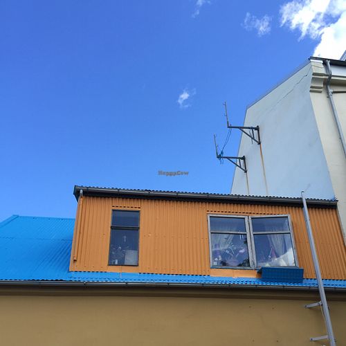 from the back porch at Cafe Babalu in Reykjavik