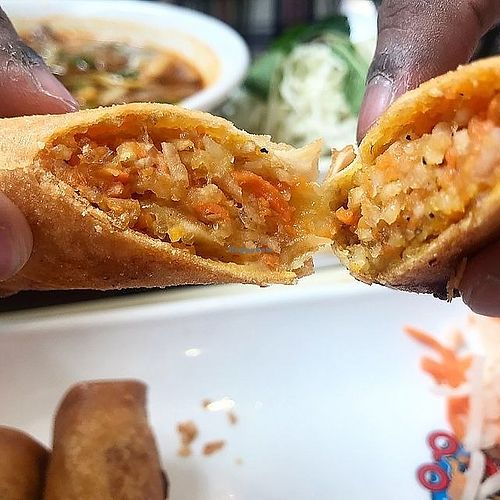 Veggie Spring Rolls at Toronto Pho in Toronto
