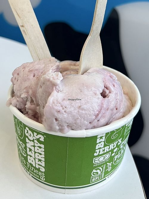 Vegan Strawberry  at Ben & Jerry's in Delray Beach