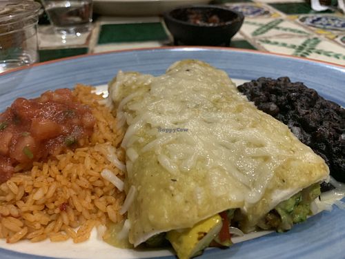Guacamole Enchiladas with Vegan Cheese at Mary Ann's Mexican in Port Chester