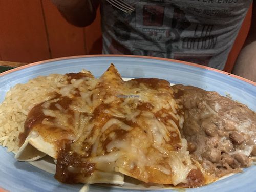 Vegan Cheese Enchiladas  at Mary Ann's Mexican in Port Chester