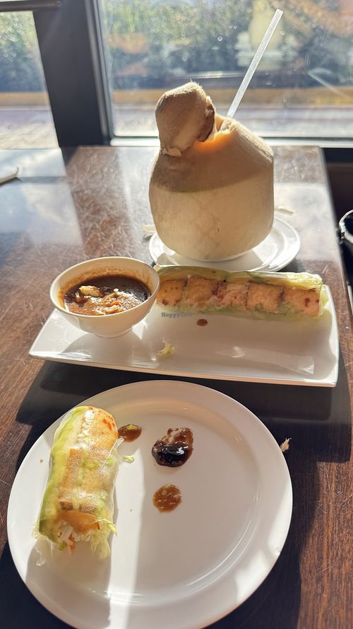 Raw spring-roll with fried tofu and extra avocado + peanut sauce 🙌🏽  at Pho Company Noodle House in Deland