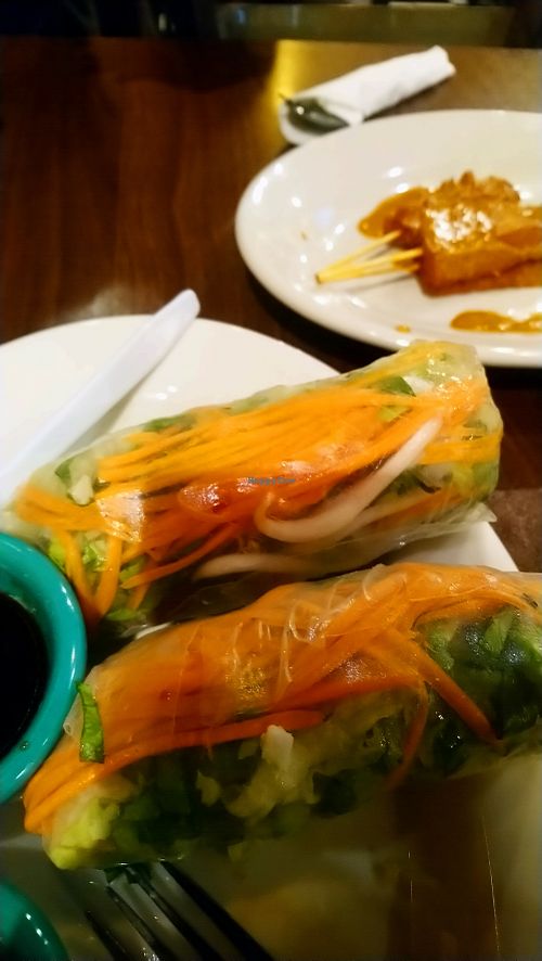 Fresh spring rolls and chicken satay at Thai Vegan - temporarily closed in Albuquerque