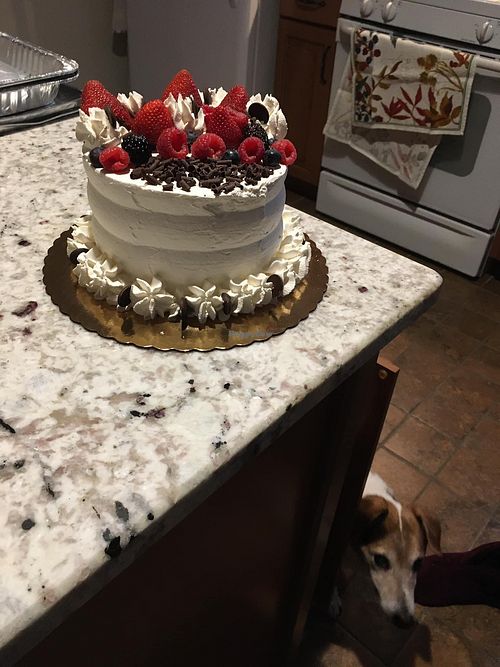   at E's Delights in Chelsea