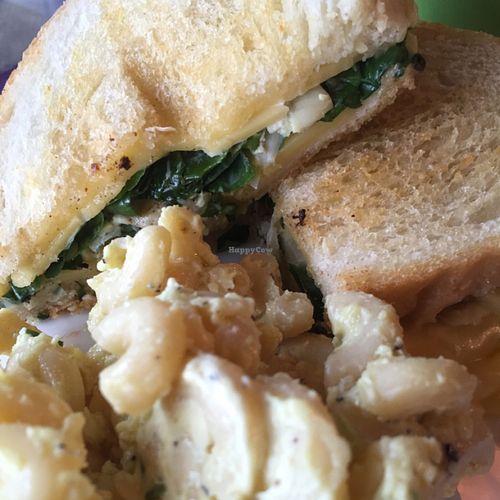vegan spinach & cheese panini with vegan macaroni salad at Tiger Lily Cafe in Chesterton