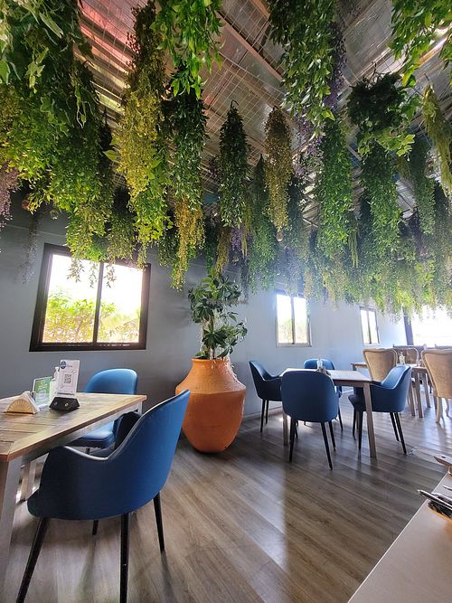  at Just Vegan - Jumeriah in Dubai