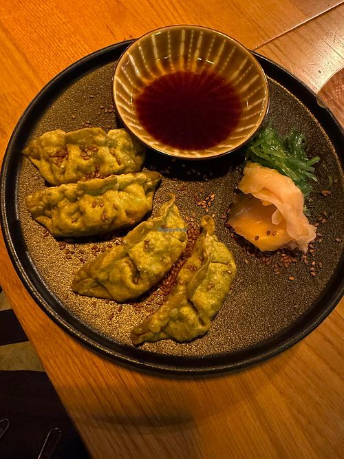 Gyoza 🥟   at WIT-LOF in Den Burg