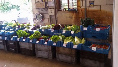 Bio-tuinderij De Kromme Lepel at Bio-tuinderij De Kromme Lepel in Bergen Op Zoom