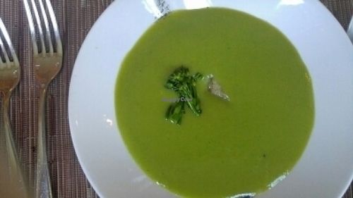 Vegan Chilled Spring Onion Soup with Fennel Marmalade at Tilth in Seattle