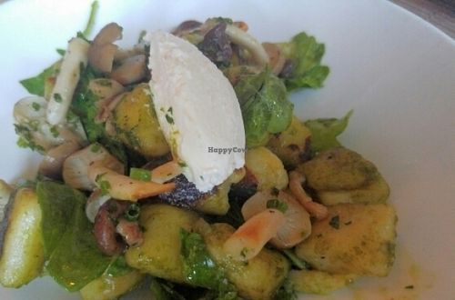 Vegetarian Gnocchi with Foraged and Found Mushrooms, Chatted Onion, and Goat Cheese at Tilth in Seattle
