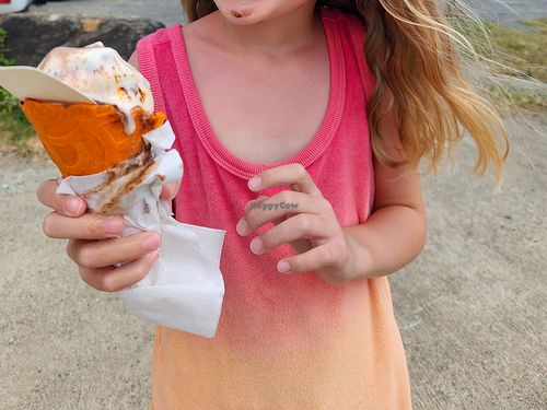 soft-serve waffle cone at Irie Pops in St John