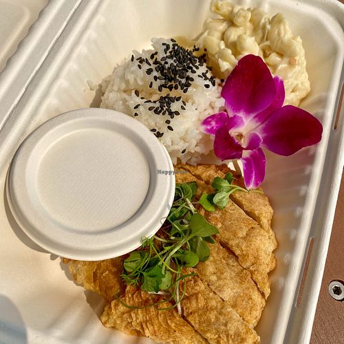 Katsu Chicken at Sharks Cove in Portland