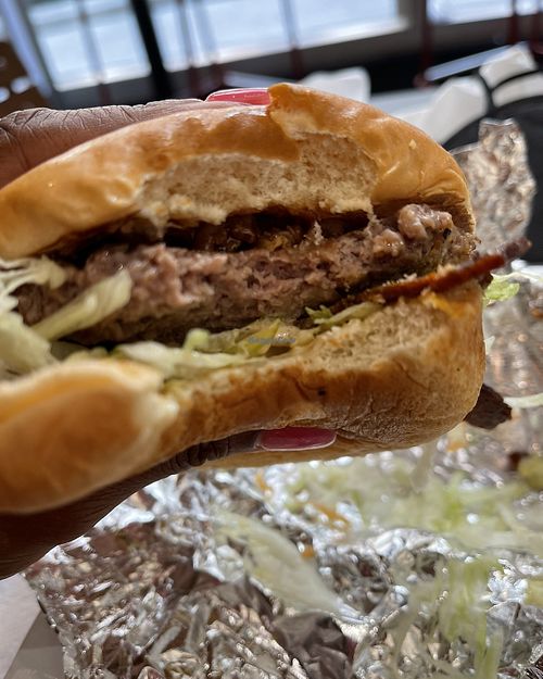 My sad dry burger   at Stand-Up Burgers - Wells in Chicago