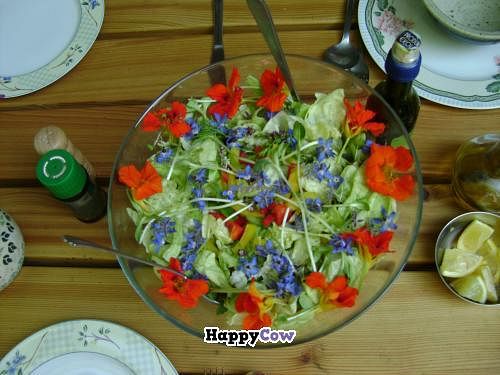 Exquisite Organic 'Mandala Salads' at EcoVillage Bhrugu Aranya in Jordanow