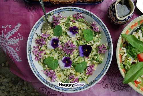 Delicious Organic Vegetarian salads and dishes. at EcoVillage Bhrugu Aranya in Jordanow