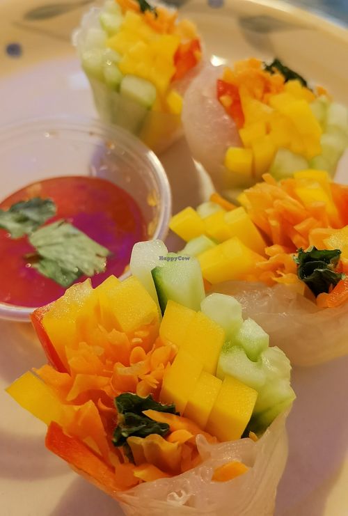 Fresh spring rolls.  at Thai Garden in Galway