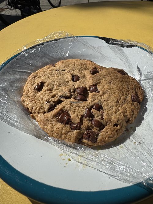 Vegan chocolate chip cookie  at Fox and Lion Bread in San Francisco