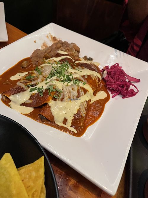 Enchiladas Rojas at Vida Cantina SF in San Francisco
