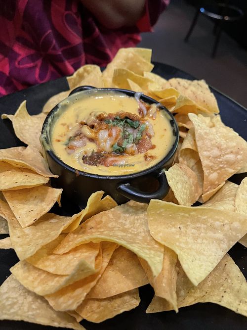 Queso Fundidohh at Vida Cantina SF in San Francisco