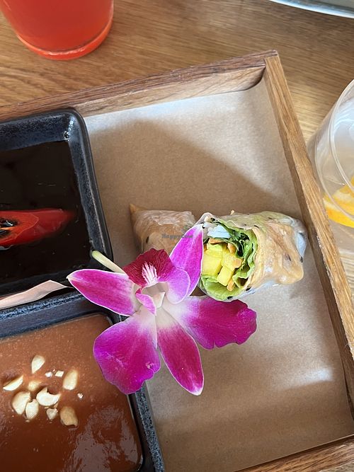 summer rolls with planted chicken   at Nón Lá Restaurant in Basel