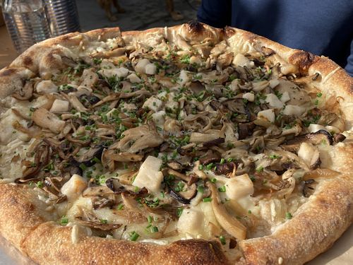 Mushroom pizza with vegan cheese  at PizzaHacker in Mill Valley