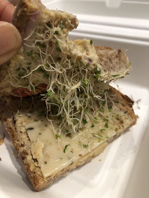 Vegan sprouts sandwich   at LAX - Urth Caffe - T1 in Los Angeles