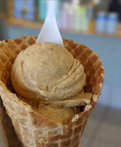Pumpkin cinnamon roll Vegan  at Van Leeuwen in Houston