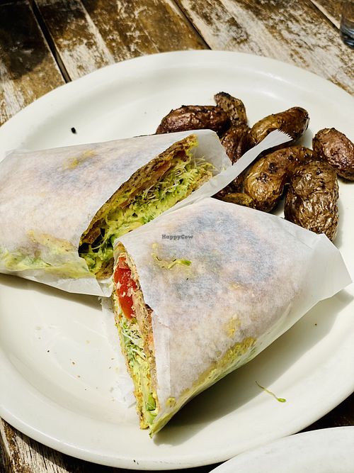 Green Zebra Cafe Main St Sarasota Florida Restaurant HappyCow