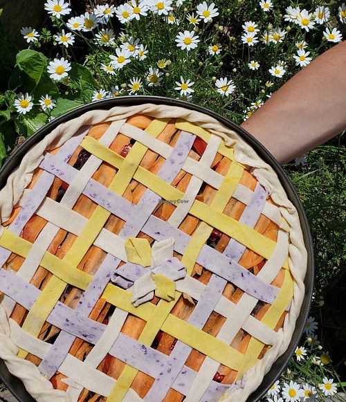 Torta salata at Farmhouse Gli Orti Di Bertin in Campoligure