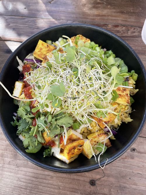 Vegan fried rice at The Blue Owl in Santa Barbara