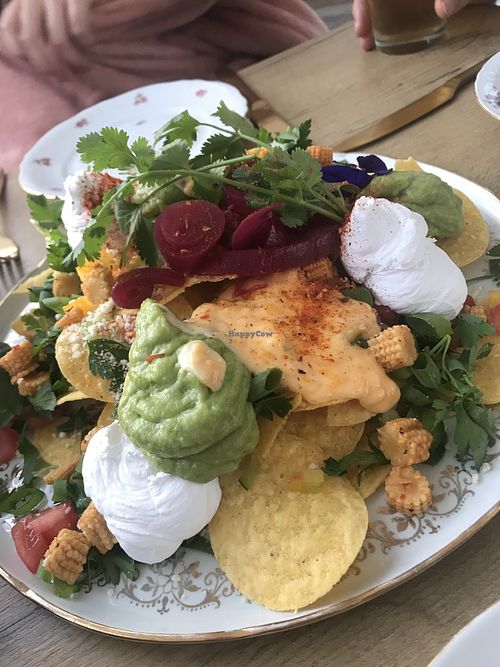 Net m'n verjaardag gevierd op het heerlijke terras van Palma. In Aartselaar maar je waant je op vakantie! Heerlijke street food! En alles is plant based. Ook glutenvrije opties!  at Palma in Aartselaar