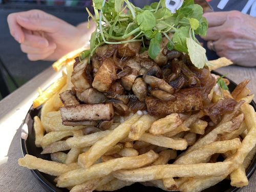 Loaded fries  at Fuente Rica Rica in Santiago