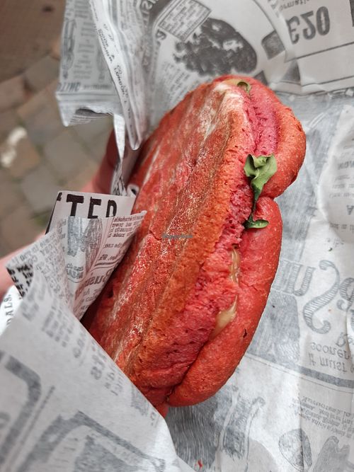 Vegan panini with cheeze at KOM in The Hague