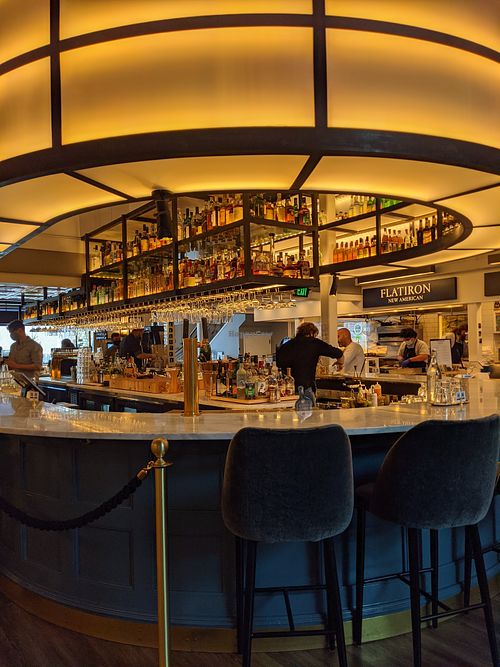 Bat at Rosetta Hall in Boulder