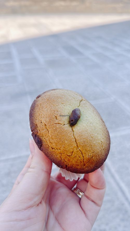 pasticciotto pistachio  at Martinucci Laboratory in Bari