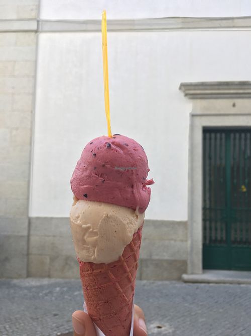 Red fruit and peach sorbet at Fábrica dos Gelados in Evora