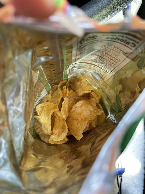 Tasty jalapeño heat chips  at Insane Vegan in St Paul