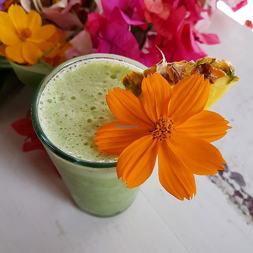 Green detox smoothie. at Port Vell Restaurante CR in Puerto Viejo De Talamanca