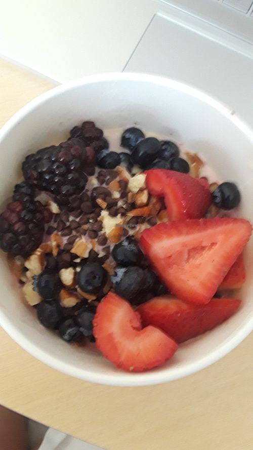 Wild Honey Frozen Yogurt Pensacola Florida Ice Cream HappyCow
