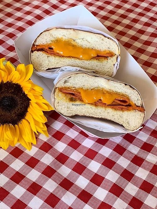 Pretzel Wrap at Stoopid Veganz in Lincoln City