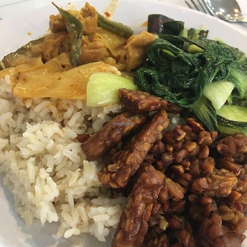 mixed rice (curry, greens, tempeh) at Tian De Vegetarian Restaurant in Seri Kembangan