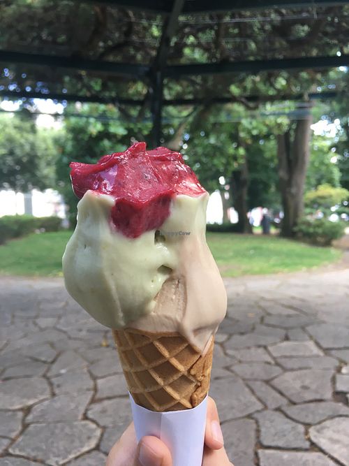 From top to bottom : red fruits, avocado with lime, hazelnut at UAO by Mú - Healthy Italian Gelato in Lisbon