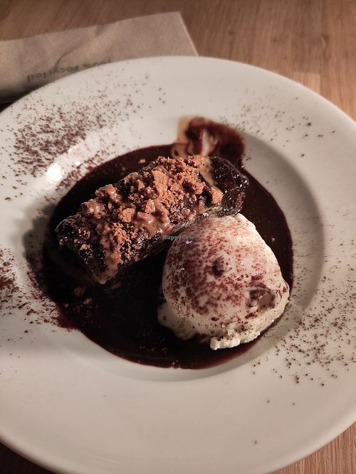 Brownie at Wilder   in Falmouth