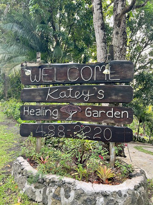   at Katey's Healing Garden in Palau