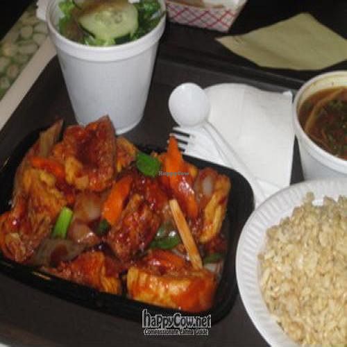 Tofu-Eggplant dinner special at Green Lotus in Queens