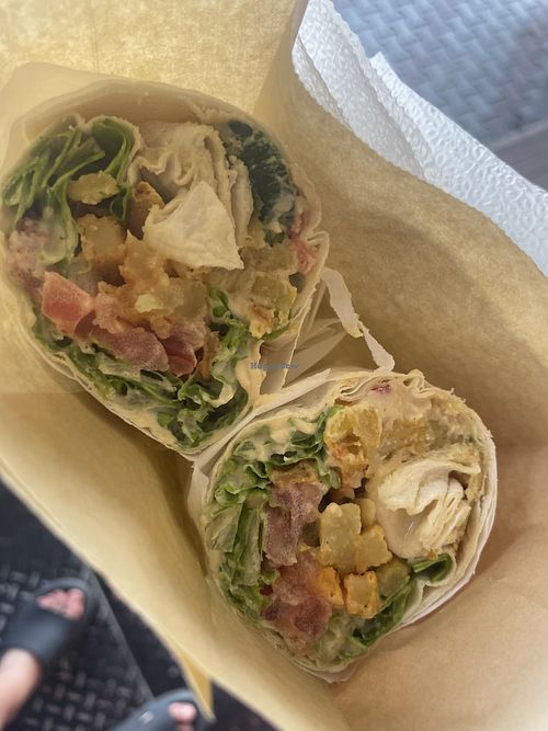 XL Humus Pita  at Falafel House in Tirana