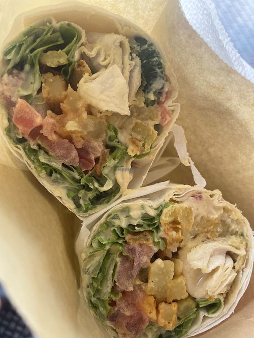 XL Humus Pita  at Falafel House in Tirana