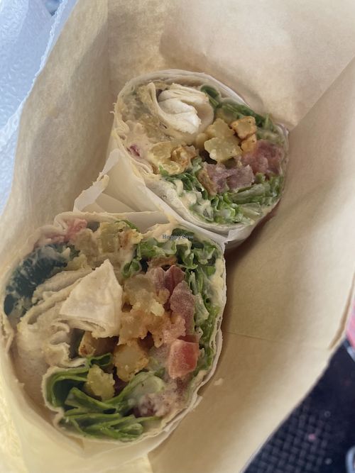 XL Humus Pita  at Falafel House in Tirana